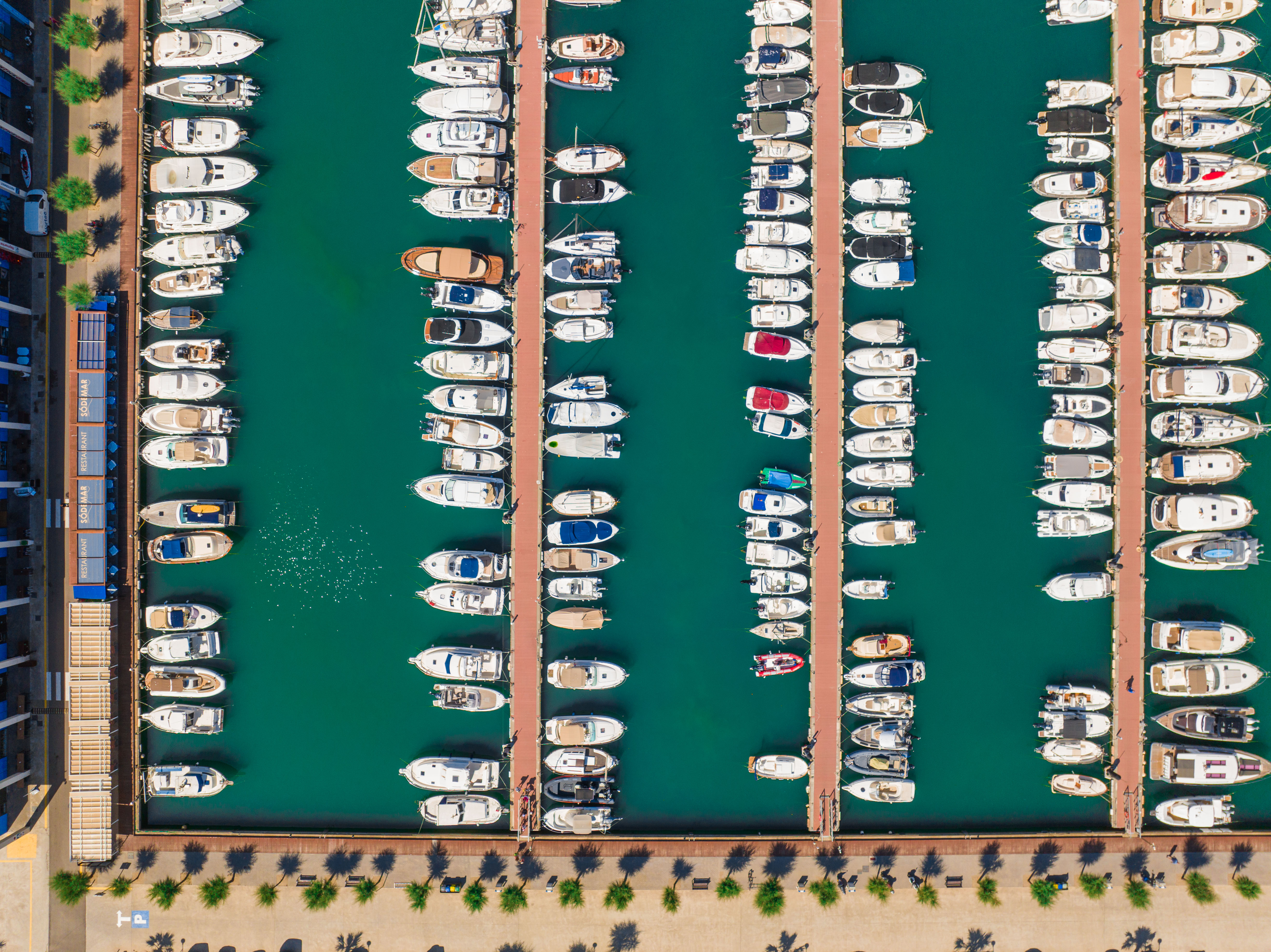 DJI_0959